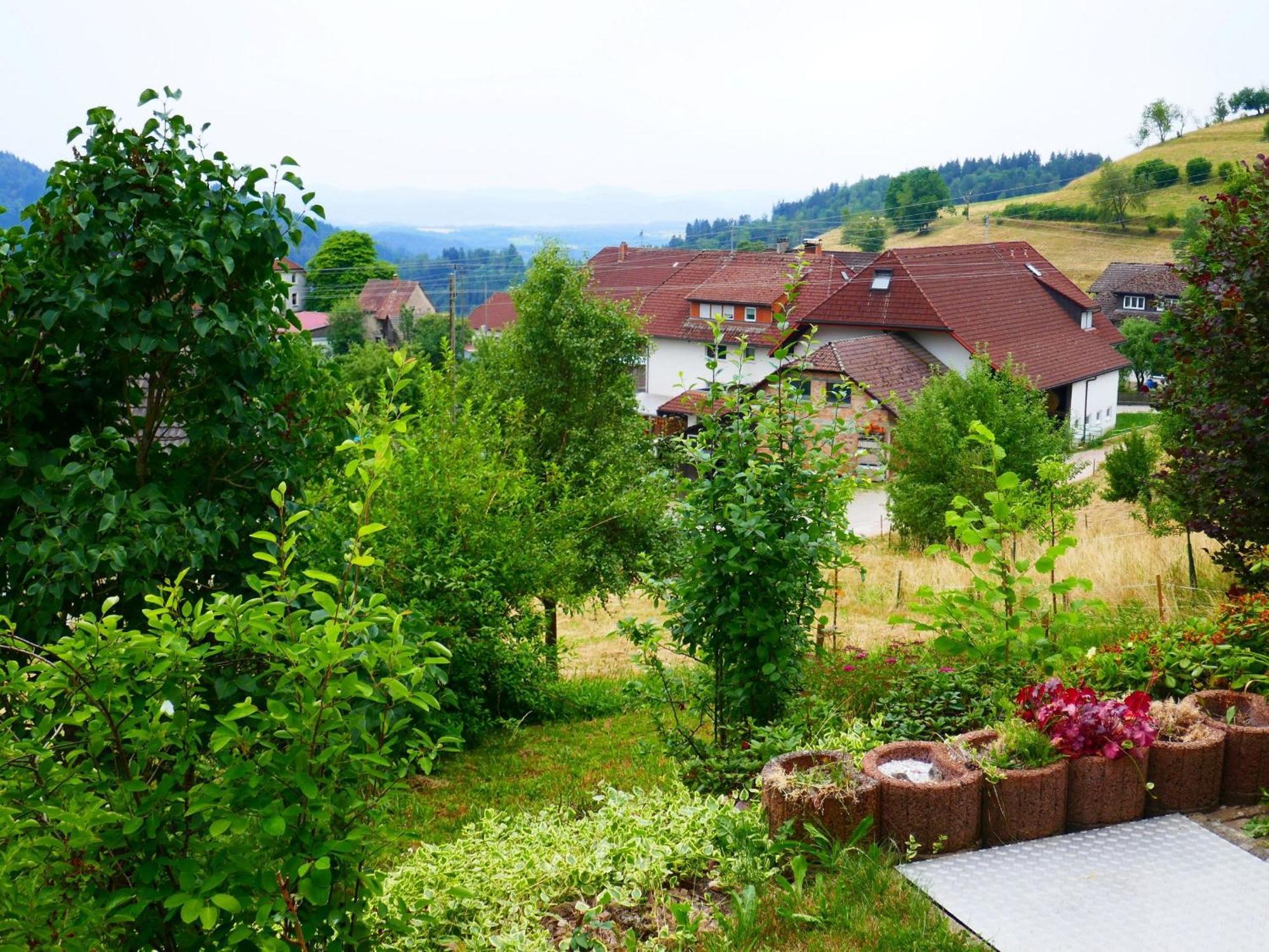 Haus Landblick Lejlighed Zell im Wiesenthal Eksteriør billede