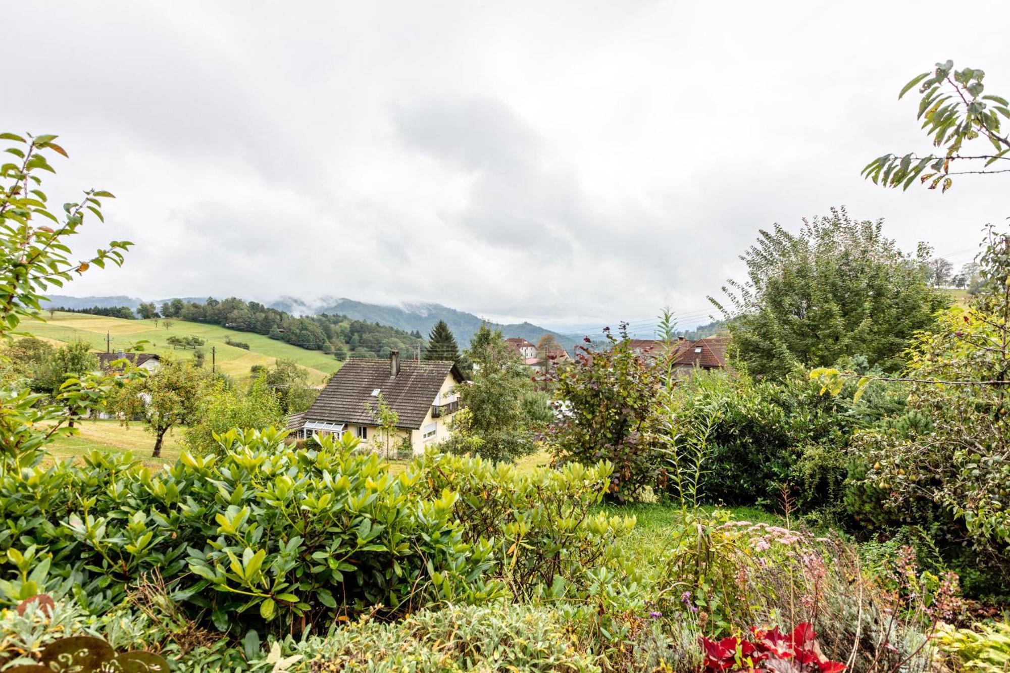 Haus Landblick Lejlighed Zell im Wiesenthal Eksteriør billede
